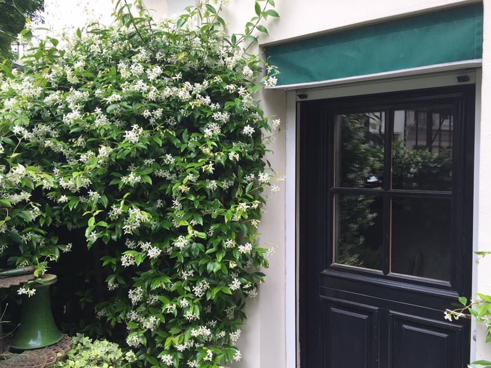 1 Square Du Docteur Blanche - Paris 16 Bed & Breakfast Exterior photo